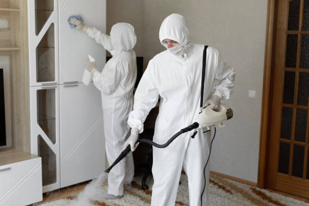 Affordable Sewage Cleanup solutions in Clarksville, IA